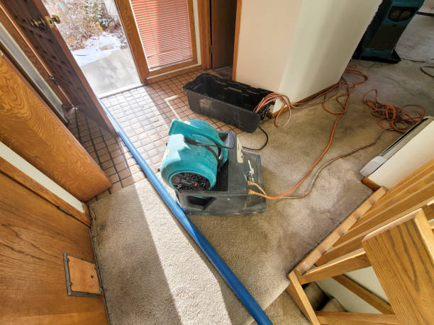 Best Commercial water damage restoration  in Plymouth, WI
