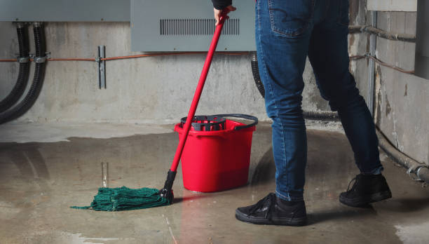 Best Sewage cleanup and water damage restoration  in Plymouth, WI