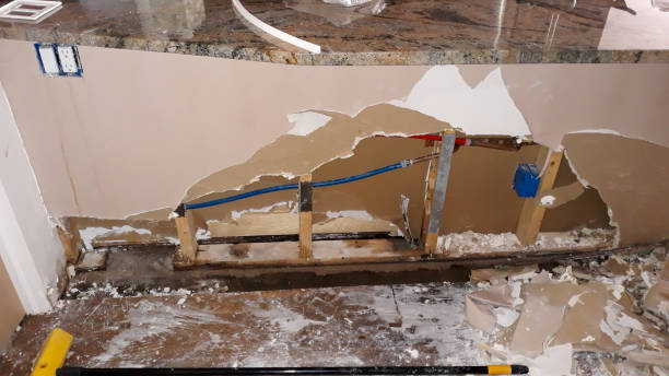 Best Mold removal after water damage  in Plymouth, WI