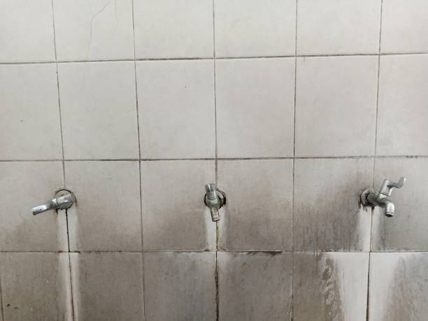 Best Water damage contractors near me  in Plymouth, WI